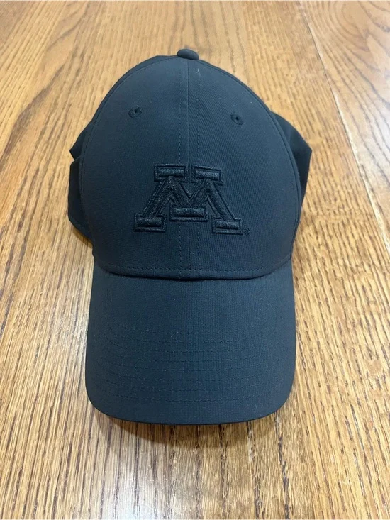Minnesota Golden Gophers Nike Dad Hat