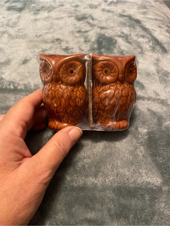 Ceramic Owl Salt and Pepper Shakers - Brown