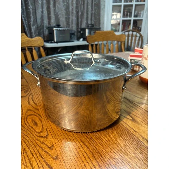 Williams Sonoma Stainless Steel Stock Pot Dutch‎ Oven Rapid Boil With Lid
