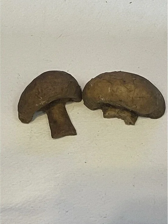 MUSHROOM Rubber Retro Vintage 3D Simulation Fridge Magnets X2 Vegetable