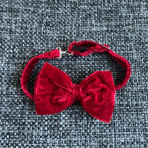 Love & Grow Boy’s Red Velvet Bow Tie