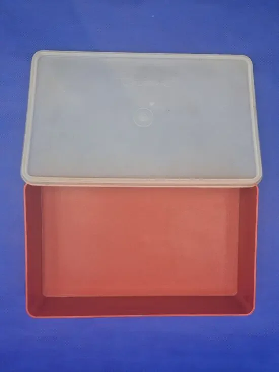 Vintage Tupperware Paprika Bacon Deli Meat Keeper with Lid 12x7