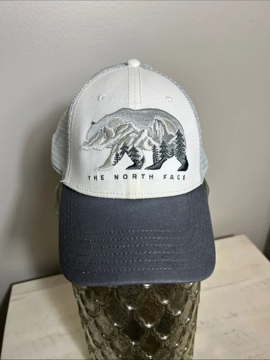 The North Face hat