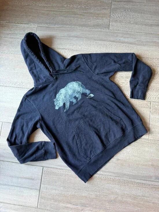The North Face Black Grizzly Bear Graphic Hoodie - Men’s Size L