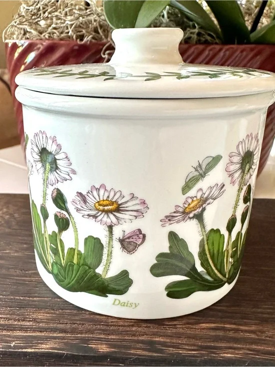 Portmeirion Botanic Garden Daisy Bellis Perennis Lidded Canister England