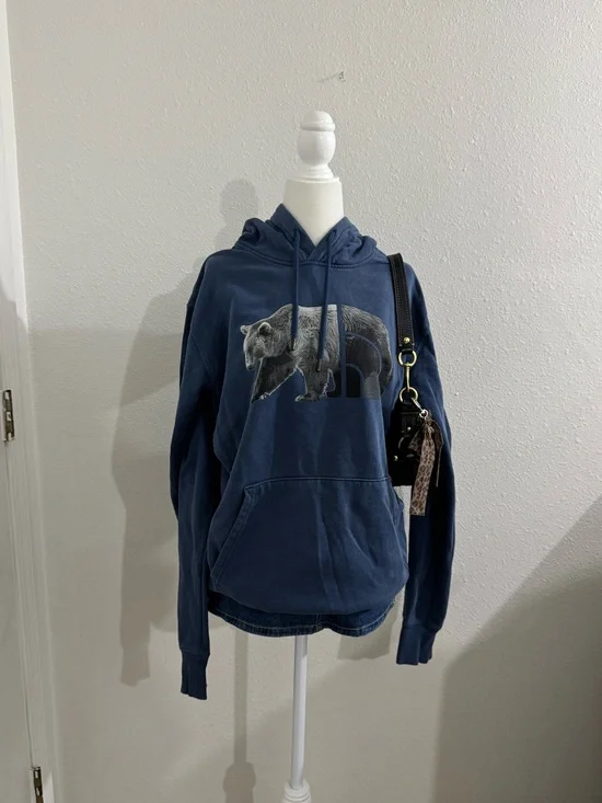 The north face bear hoodie