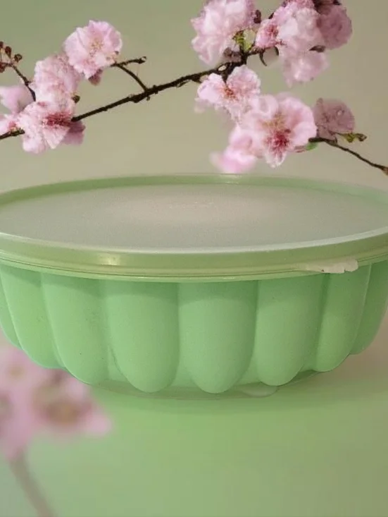 Tupperware Jel N Serve Jello Mold Green 5 Cup Plastic Lid Vintage 1970s Jadeite‎