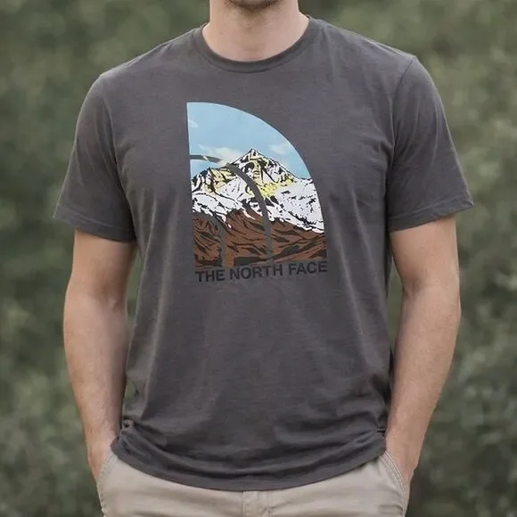 The North Face Gray Mountain Scene Tee size XXL