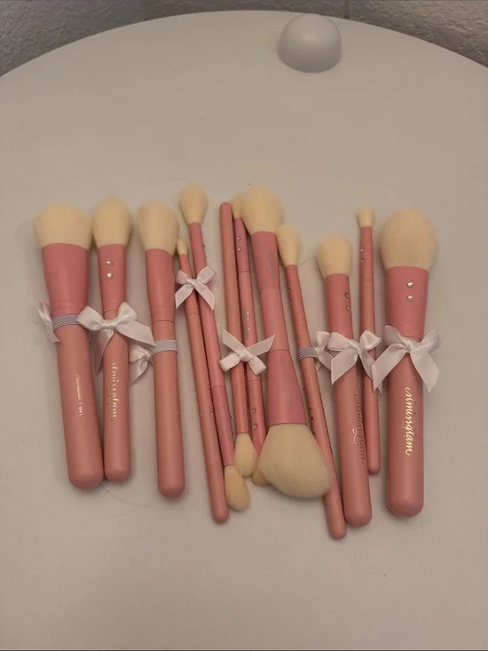 SLMISSGLAM makeup brushes. Set of 12. Pink.