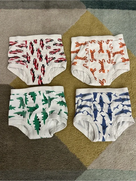 Hanna Andersson Training Underwear