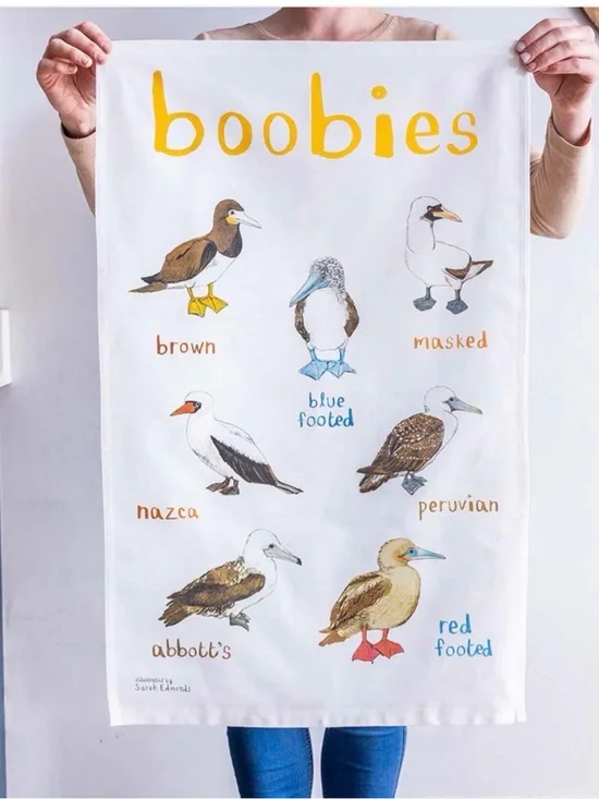 Boobies Bird Tea Towel — White with Multicolor Illustrations