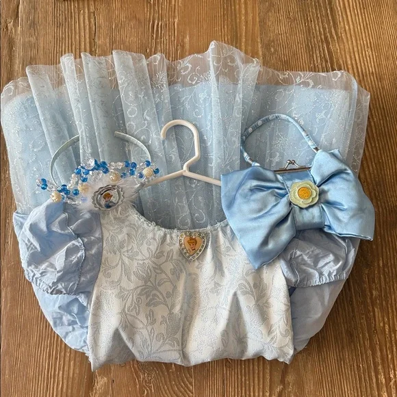 Walt Disney World 2/3  Princess Cinderella Dress Up Gown Costume purse and crown