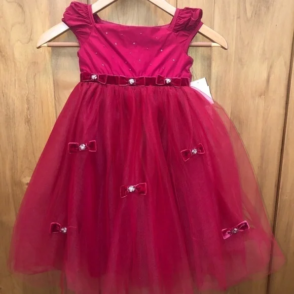 Girls Fancy Red Dress by Biscotti Colezzione  3T NWT