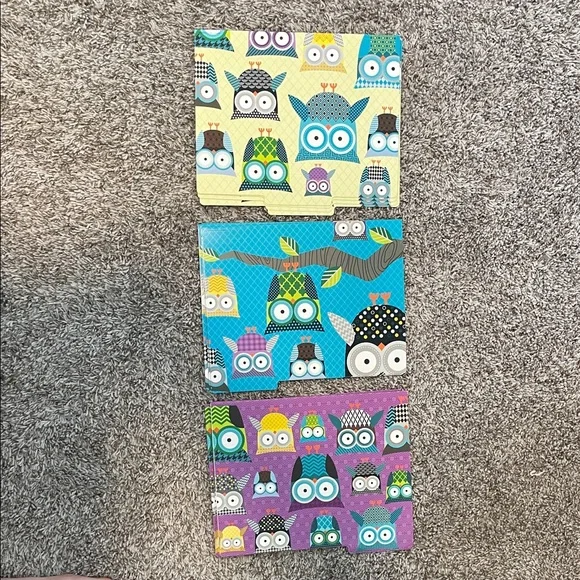 12 Colorful Owl Patterned Folders