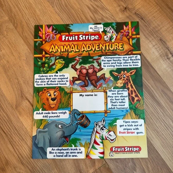 Lot Of 3 Vintage 1998 Fruit Stripe Gum Animal Adventure School Folders 2 sided