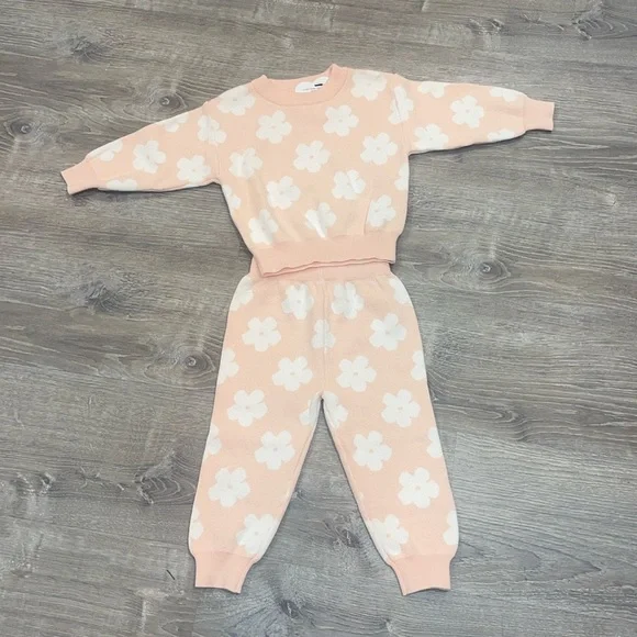 NWT Pink and white flower two piece knit set 18 months