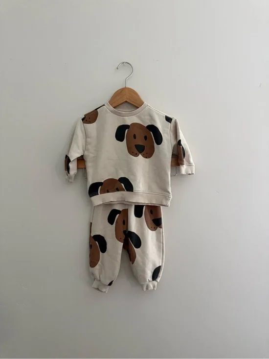 Zara 6-9 HSA Puppy Set
