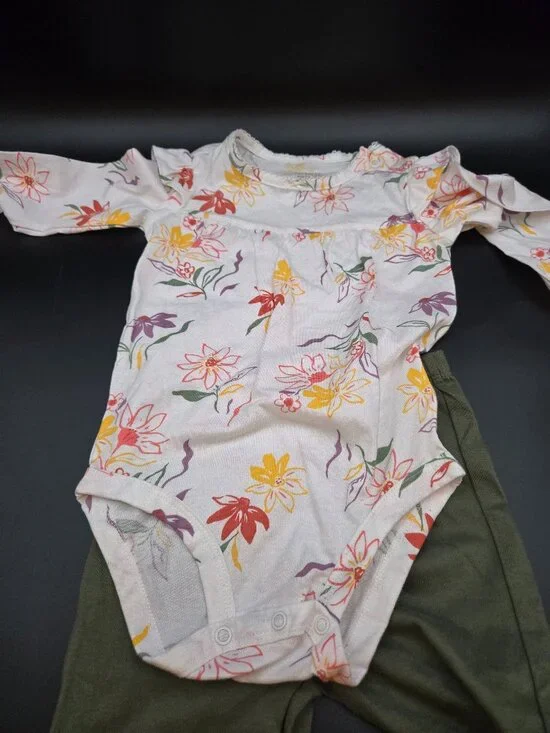 Carter's Girl's 2 Piece Fall/Winter Long Sleeve Snap-Up/Pant Set 24 Mo-NWOT
