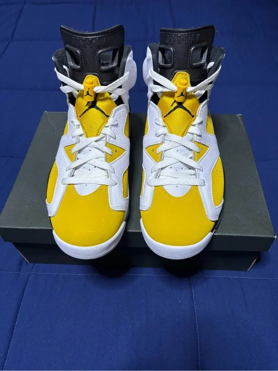 Jordan 6 Retro Yellow Ochre 2024 Size 10.5