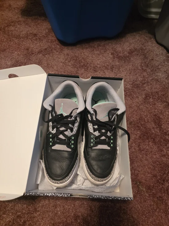 Mens Jordan 3 retro shoes