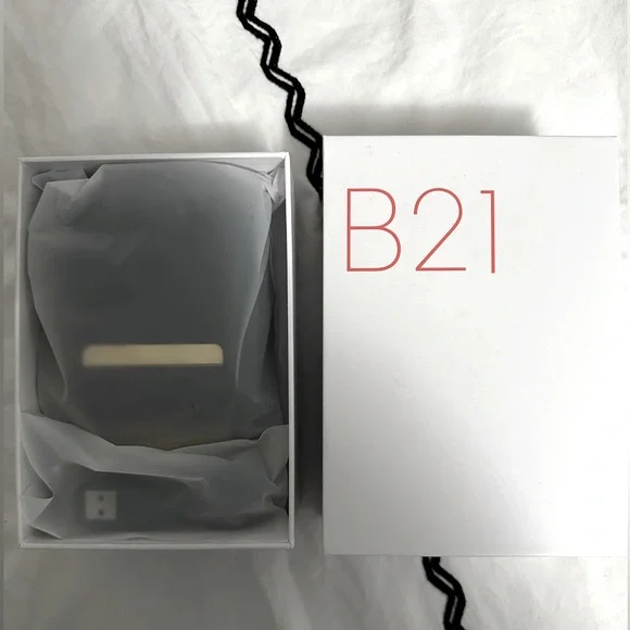 NIIMBOT B21 printer