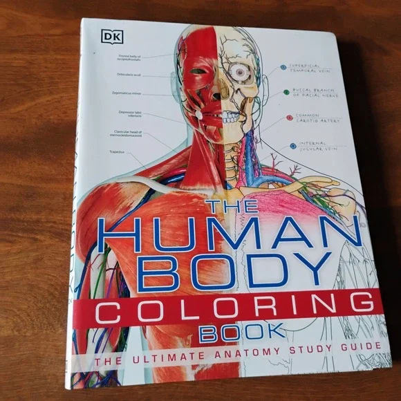 The Human Body Coloring Book The Ultimate Anatomy‎ Study Guide DK