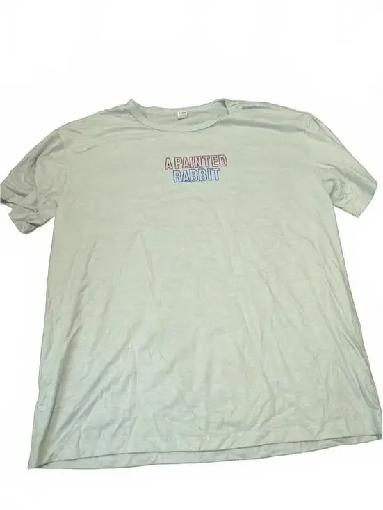 SHEIN Boys Teen T-Shirt Light Blue Size 16Y Casual Top