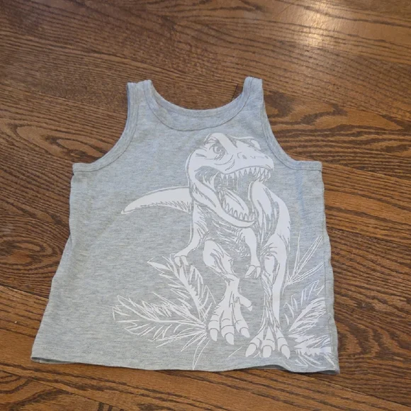 Falls Creek - Gray Dinosaur Tank Top - 2T