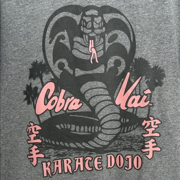 Old Navy Gray Cobra Kai Karate Dojo Tee size kids L 10-12