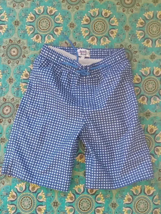Beach Bros Blue Gingham Kids Swim Trunks