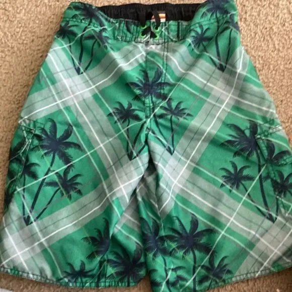 Boys Green Palm Tree Hang Ten Swim Trunks