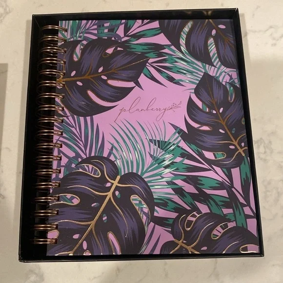 PLANBERRY Budget Planner Premium Undated Monthly Finance Organizer