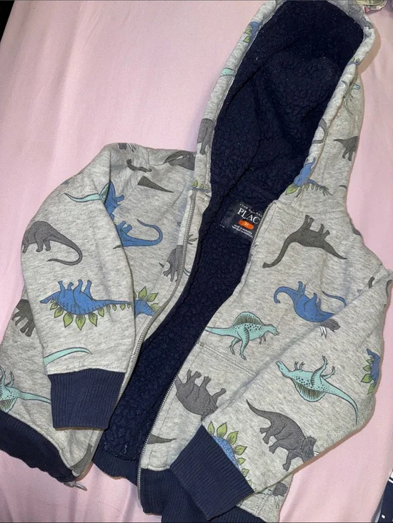 The Children's Place Gray Dino Zip Hoodie with Navy Lining