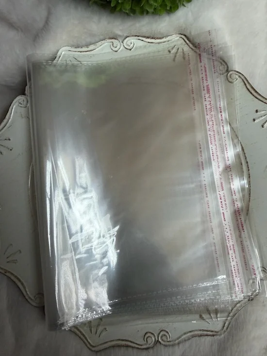 Clear self sealing Plastic shipping  bags (10)