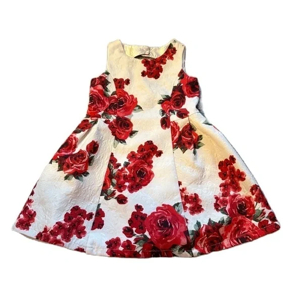 Children’s Place Floral A-line Pleated Dress Sz 6 Rose Swing Textured Red White