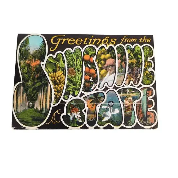 Florida Sunshine State 1920s Fold-Out Postcards Mint Condition‎ Unused Oranges+