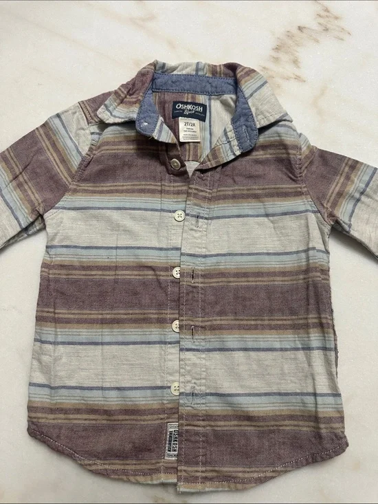 OshKosh B'gosh Mauve, Light Blue & Cream Striped Button-Down Shirt