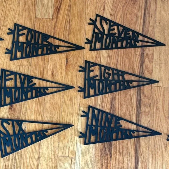 Black Monthly Milestone Pennant Set