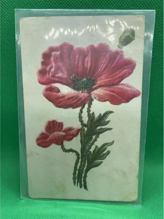 Vintage 1914 Postcard with Red Poppy Flower Illustration - Box1