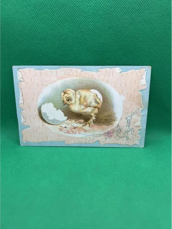 Vintage Postcard with Chick Hatching from Egg Illustration - Box1