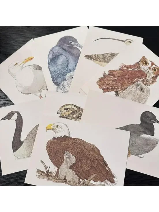 Vintage Current American Wildlife Ecology Cards Assorted Animal 8 Note Cards New