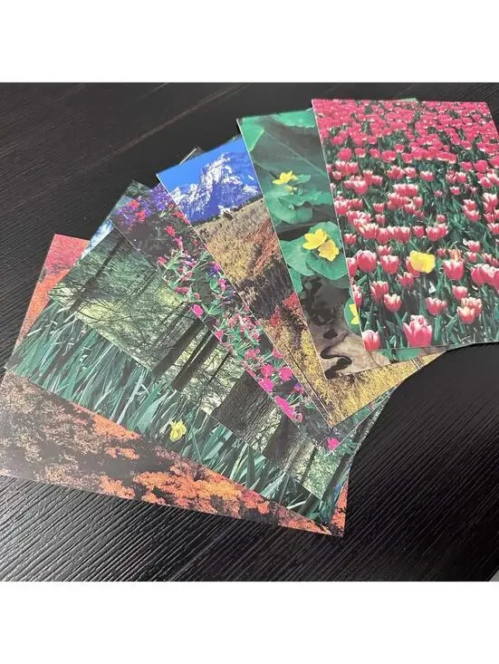Vintage Current Photography Collection Nature Greeting Cards 7pc Lot New