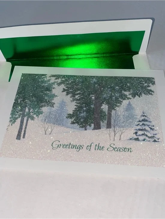 Season’s Greetings Christmas Holiday Glittery Cards Lot Of 21 With Envelopes