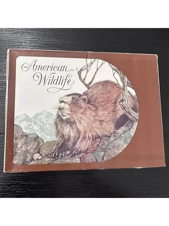 Vintage 1979 Current American Wildlife Beaver Note Cards Sealed