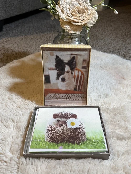 ✨American Greeting- Hedgehog & Dog Blank Cards and Envelops Set✨
