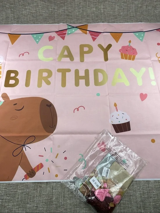 Happy Birthday Pink Party Backdrop Banner Capybara birthday party ballons