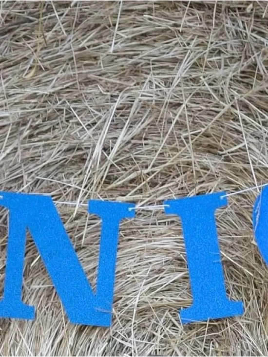 Blue Letter Senior Banner