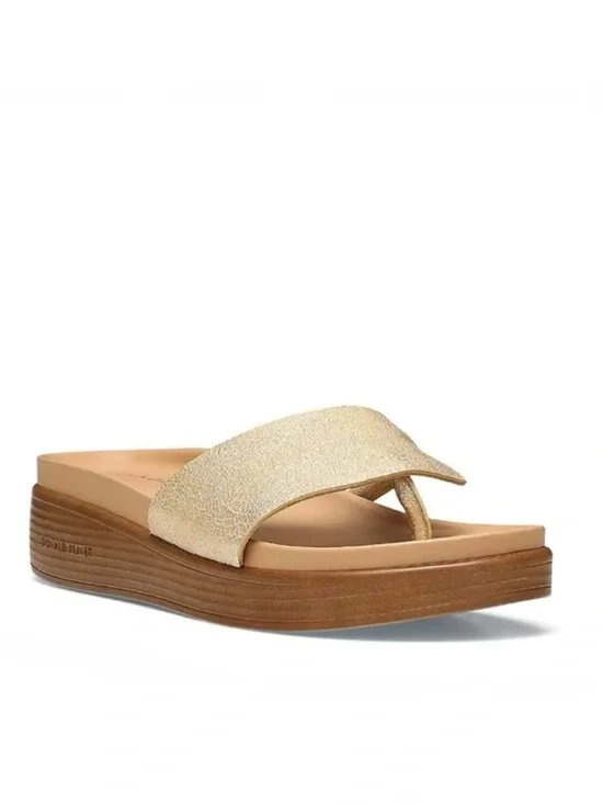 Donald J Pliner “Fiji” Flatform Slide Thong Sandal  in Gold Fleck Cork Sz 9
