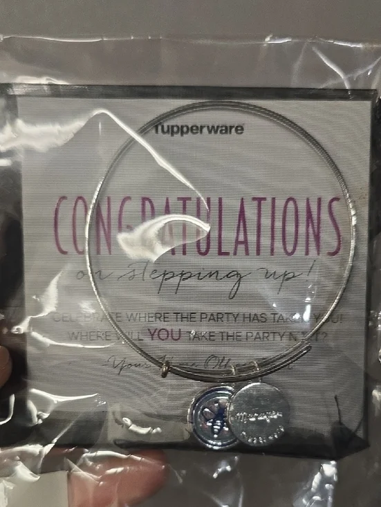 Tupperware Manager Silver-tone Congratulations Charm Bangle Bumblebee