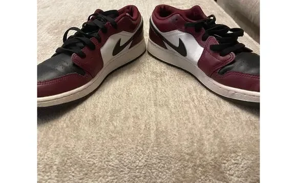 Nike Air Jordan 1 Low SE in the 